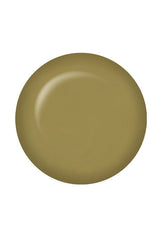 A bold button grassland green round shape of ibd color swatch lay in white background